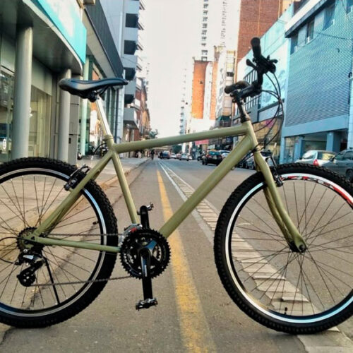 Mtb29_Oliva01 Bicicleta Mountain Bike R26 NUEVA